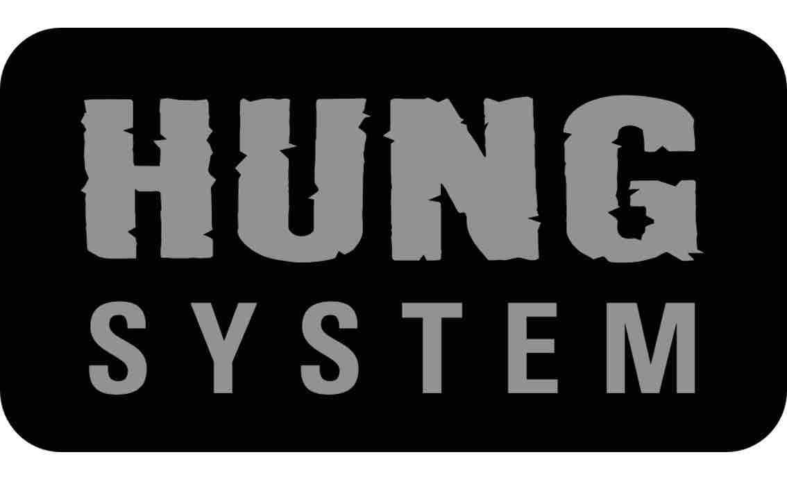 Hung System